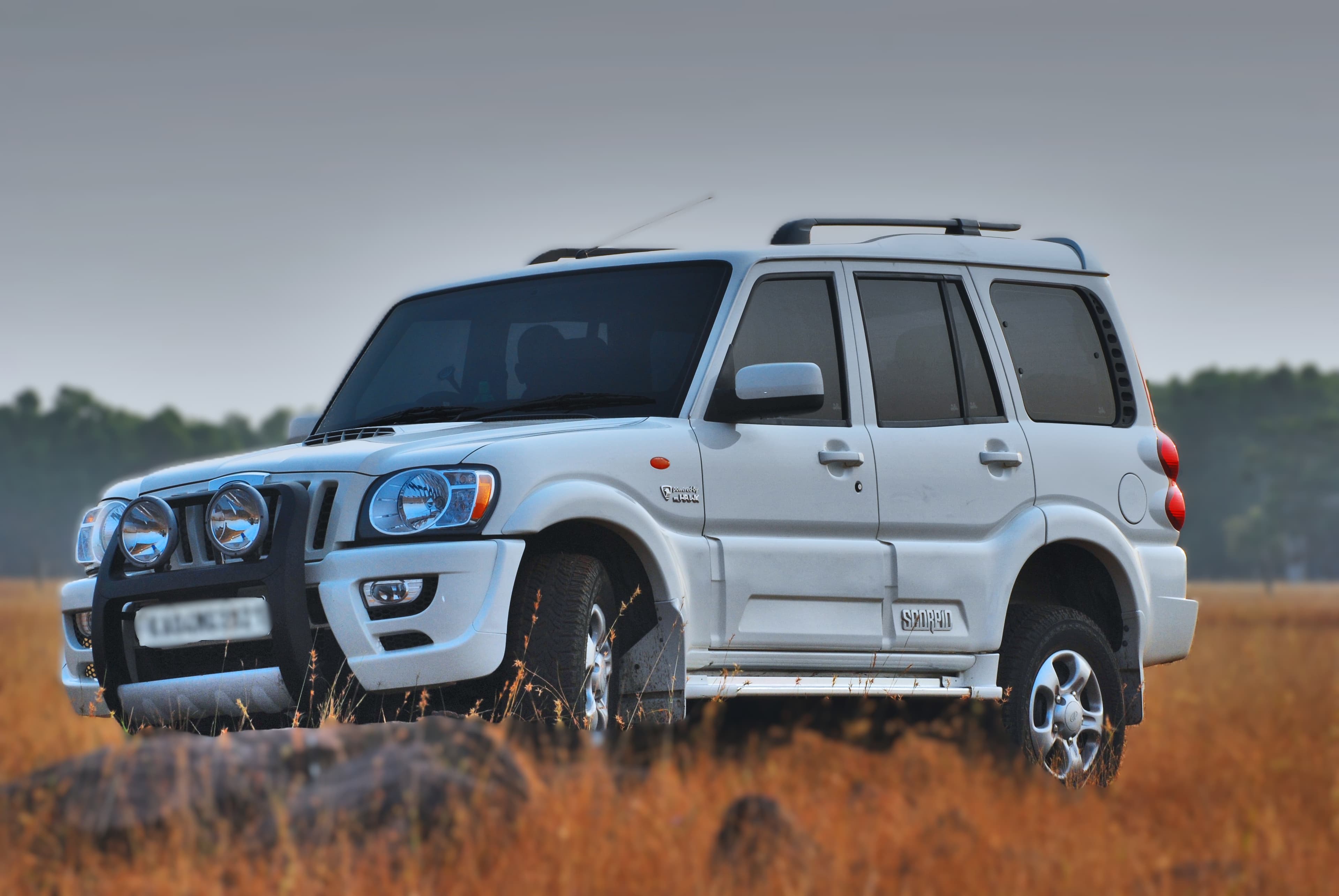 Premium Car Rentals